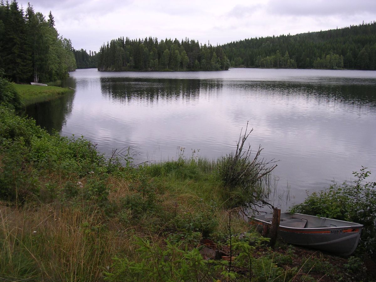 Søndagskveld nord i Plassedammen