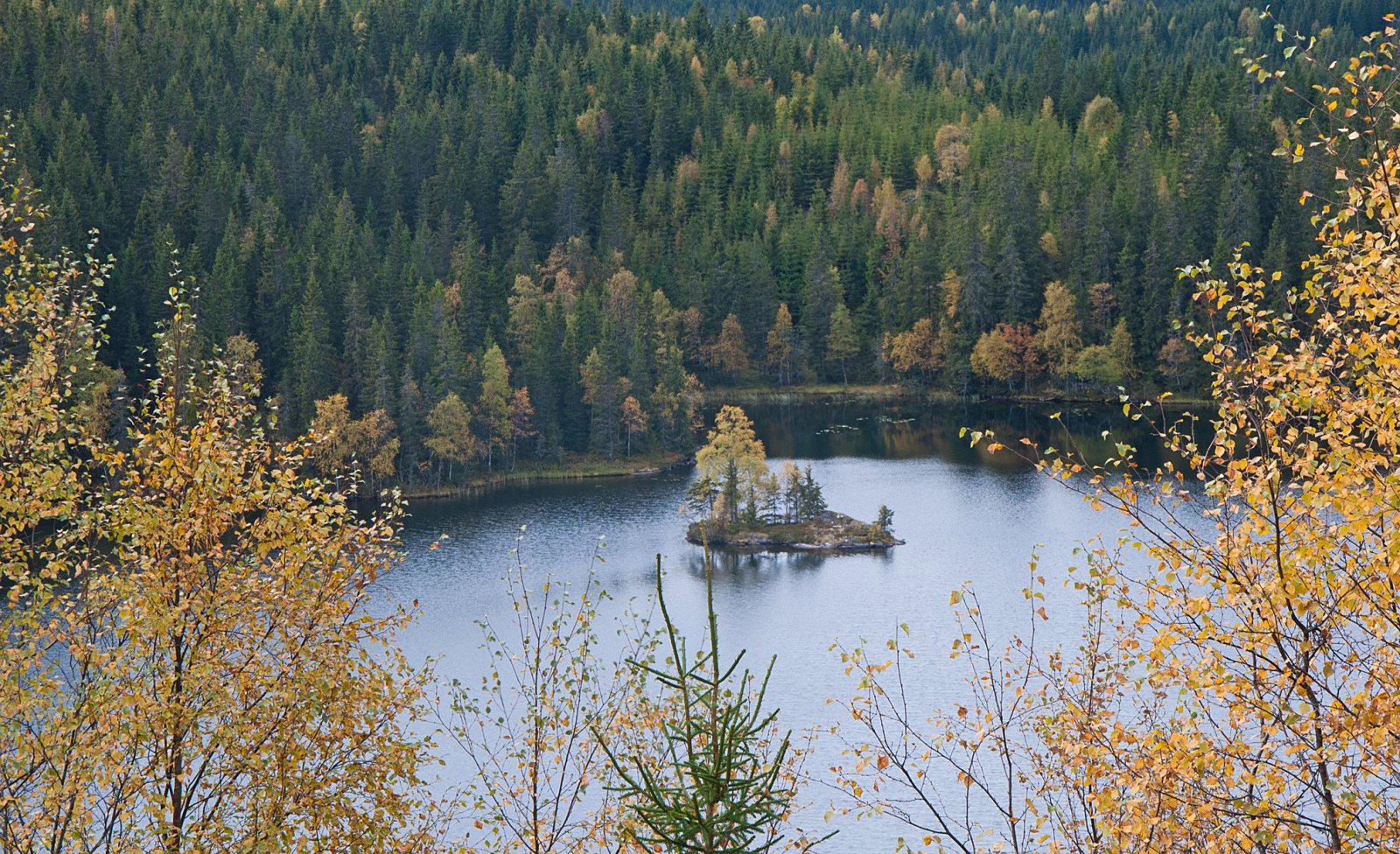 Søndre Brågåtjenn