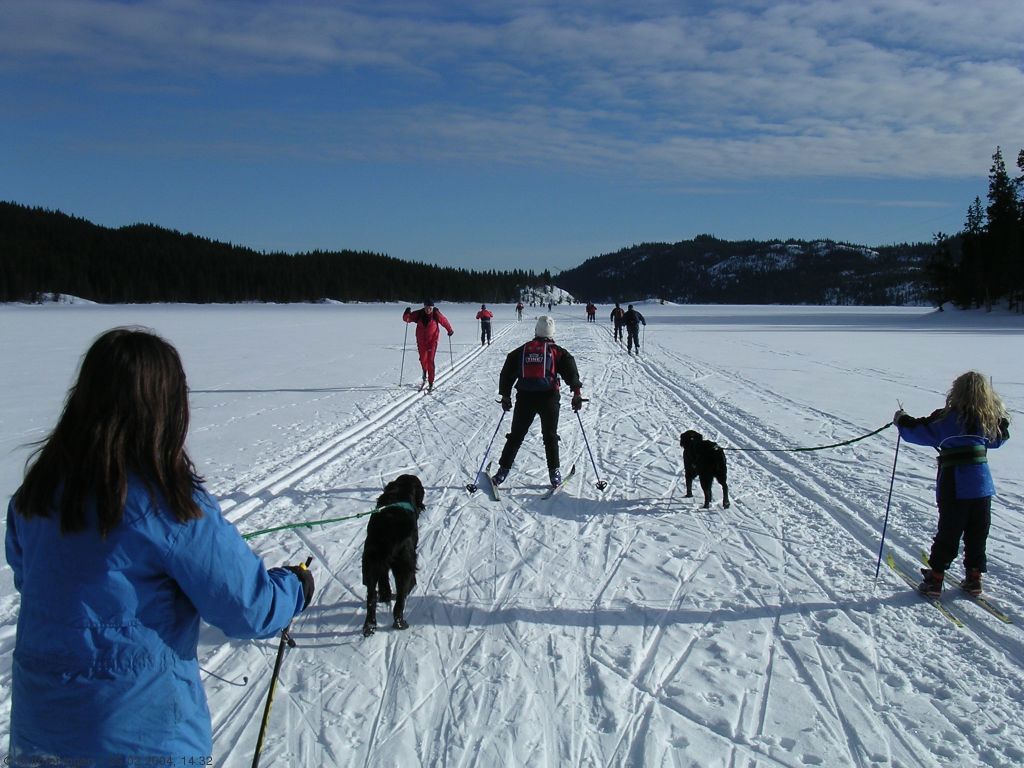 Søndre Heggelivann er et populært sted