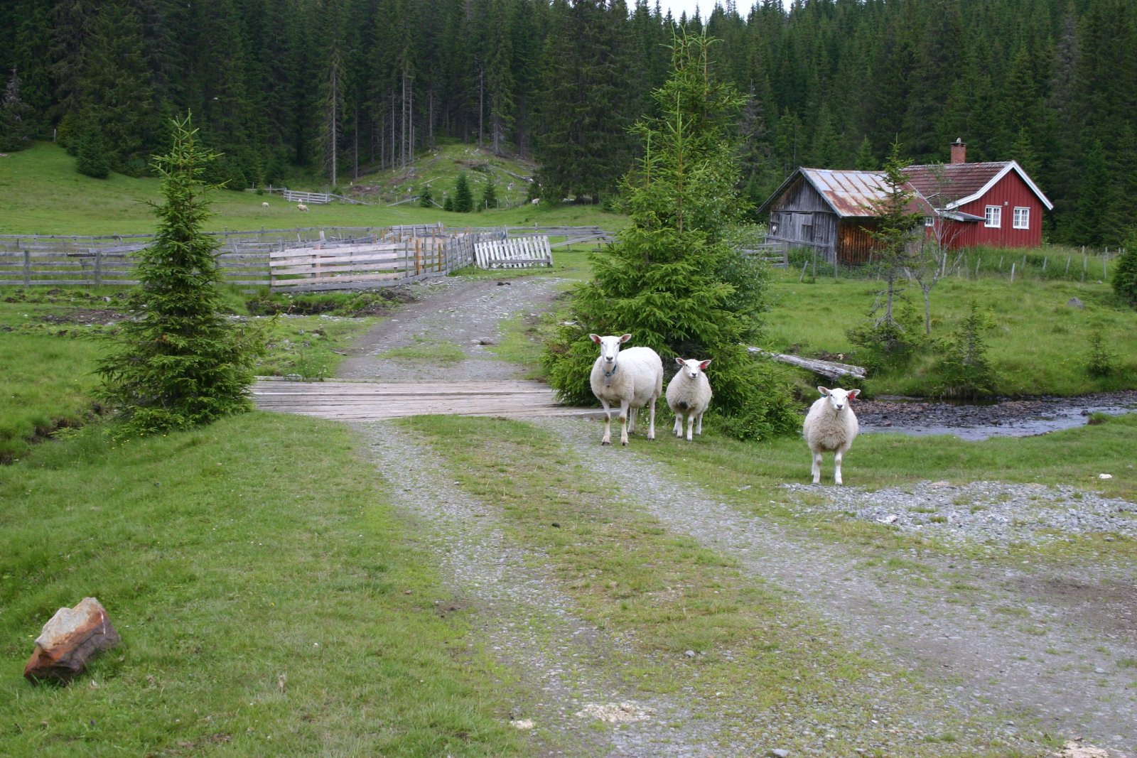 Søndre Helgedalsætra
