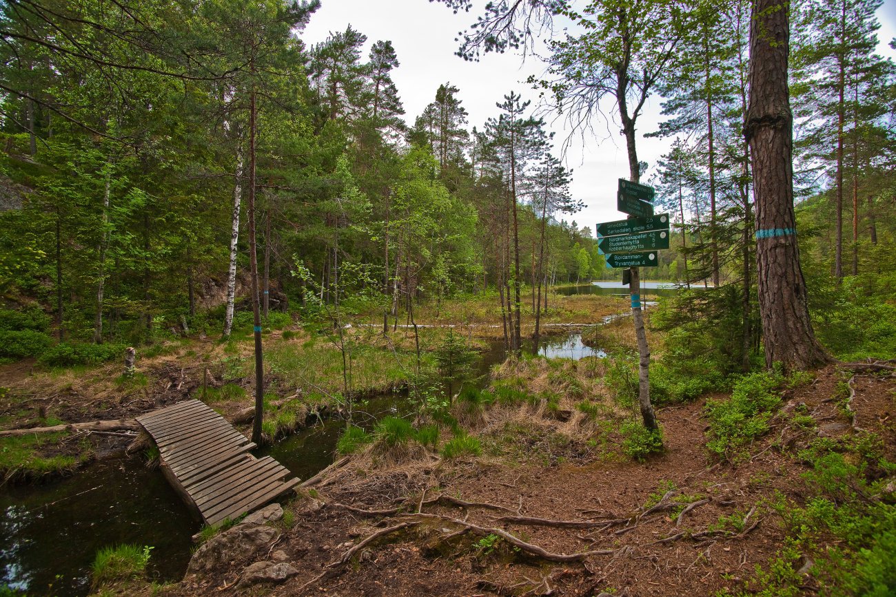 Sør i Ringerikstjern