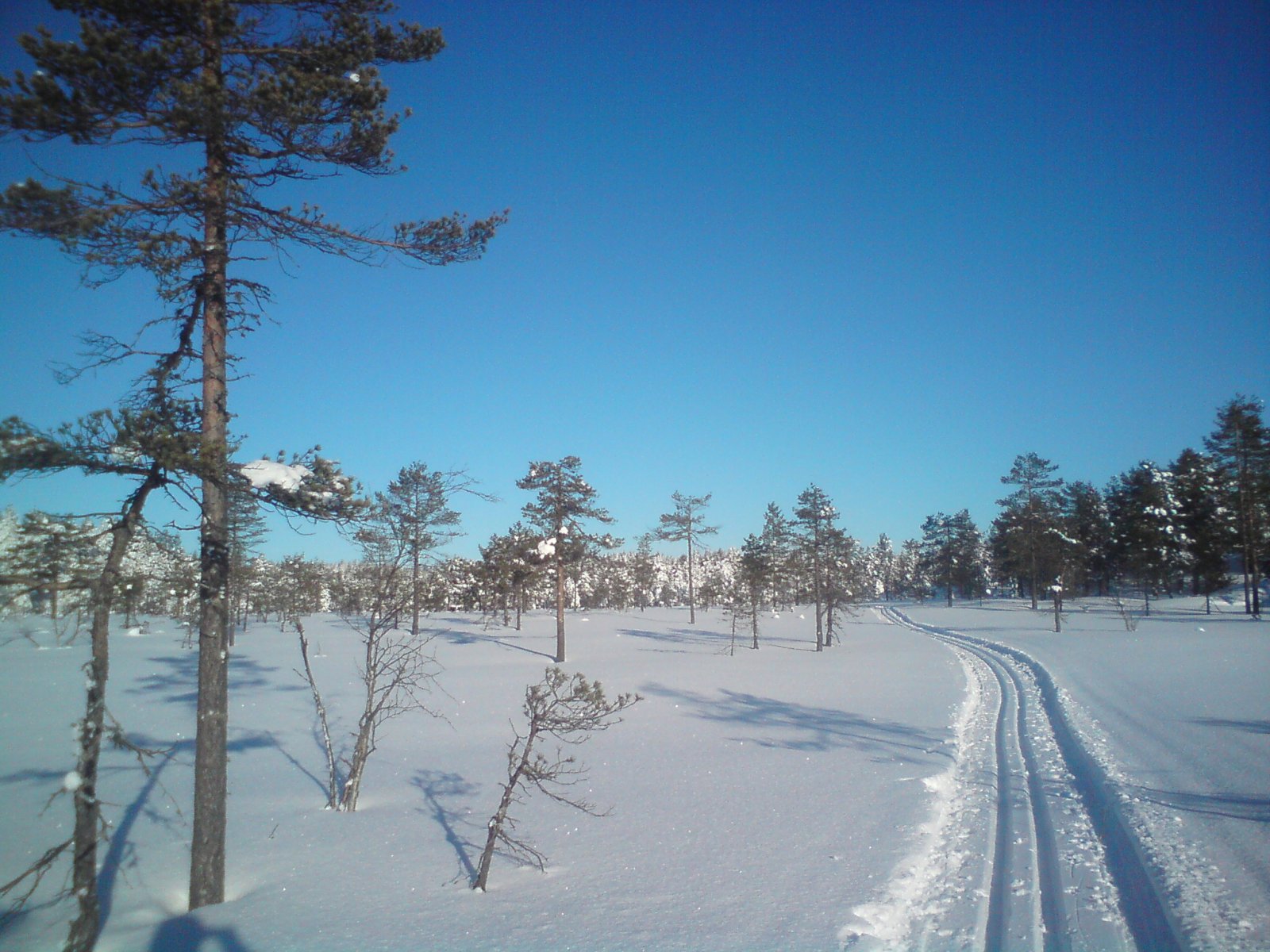 Sør på Tretjernsmyra