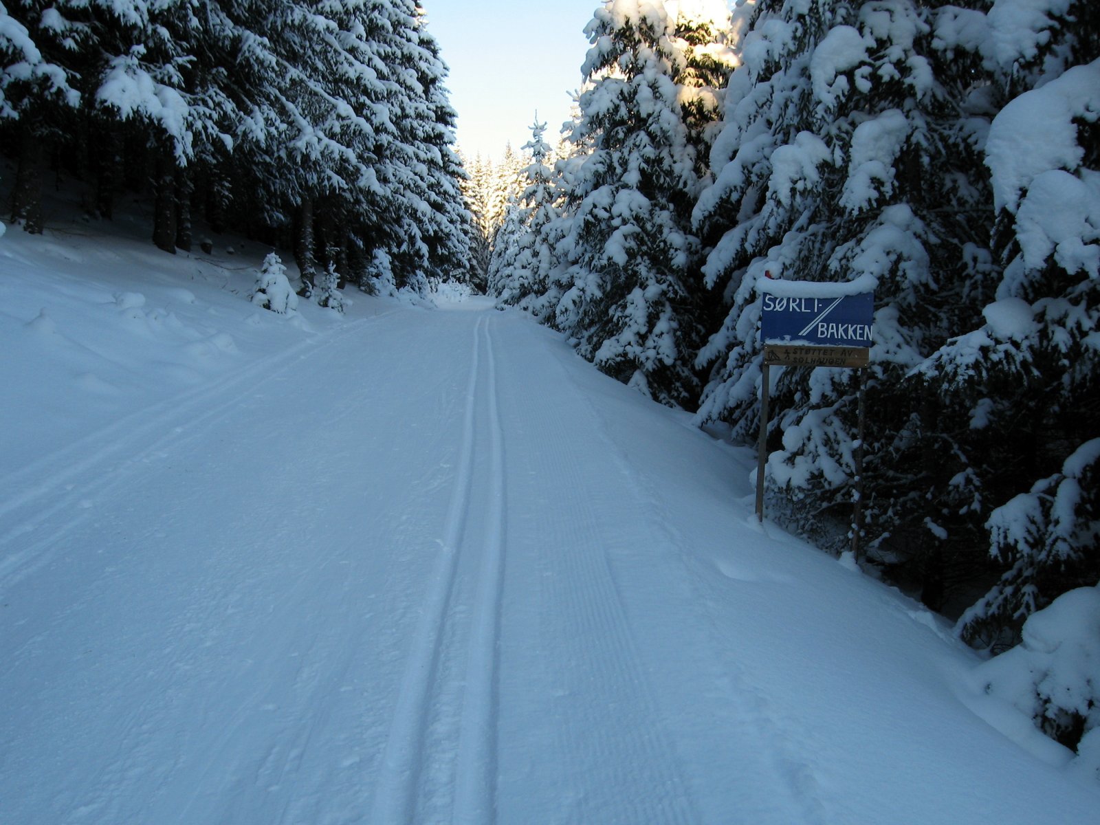 Sørlibakken ved Karlstjernet