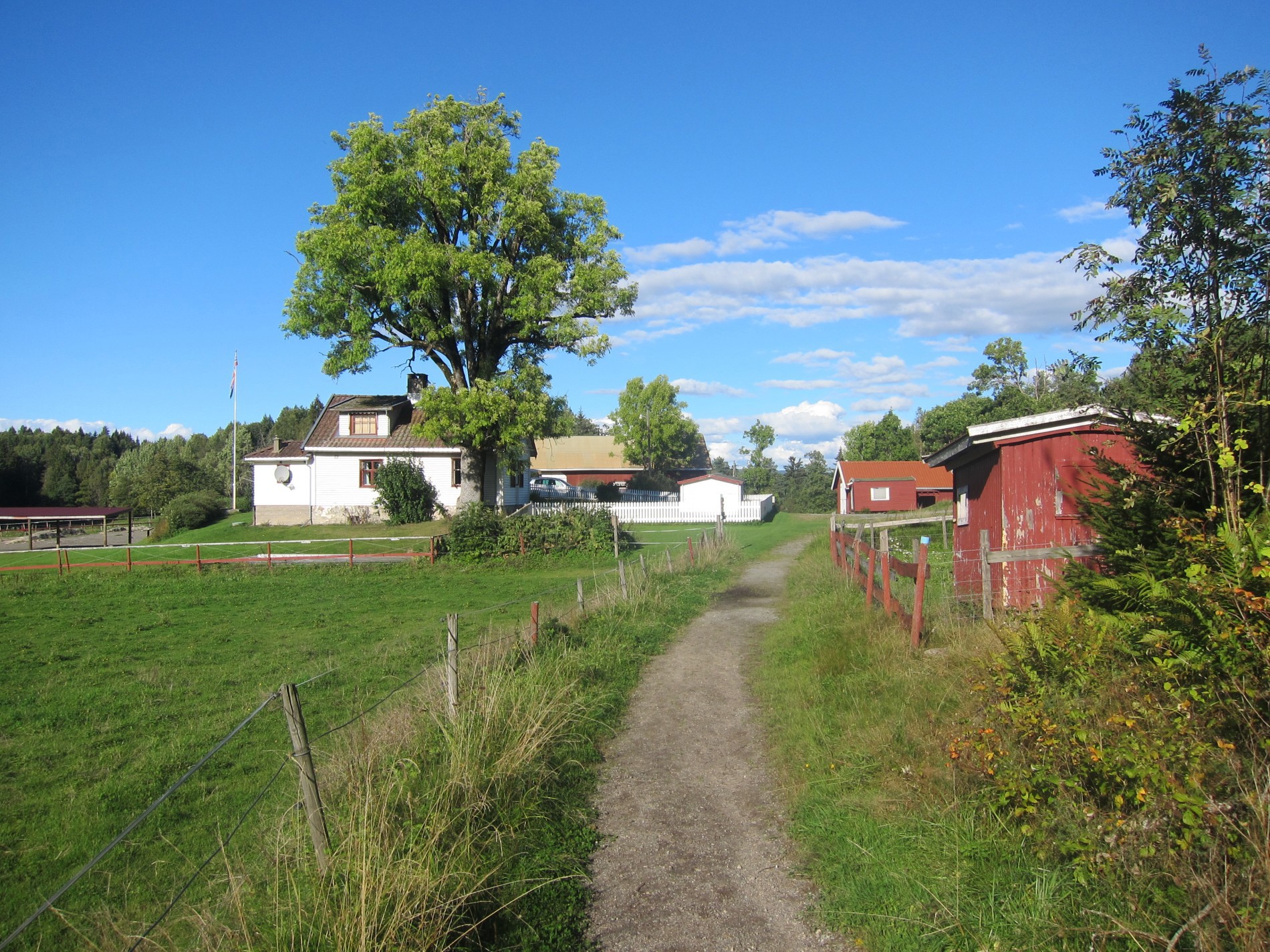 Sørover fra Hvitebjørn