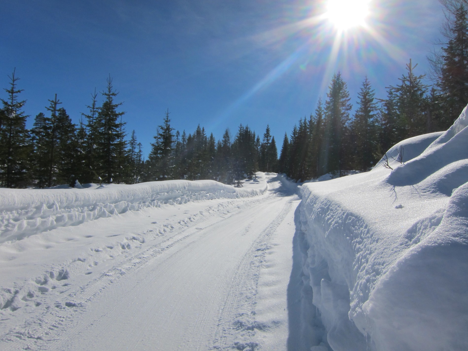 Sørover Lomsdalsvegen