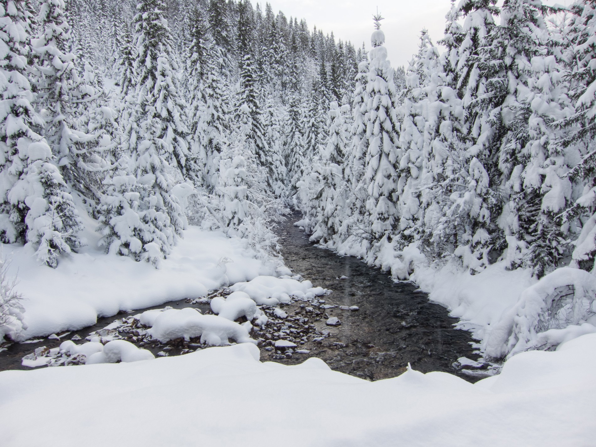 Sort og hvitt landskap
