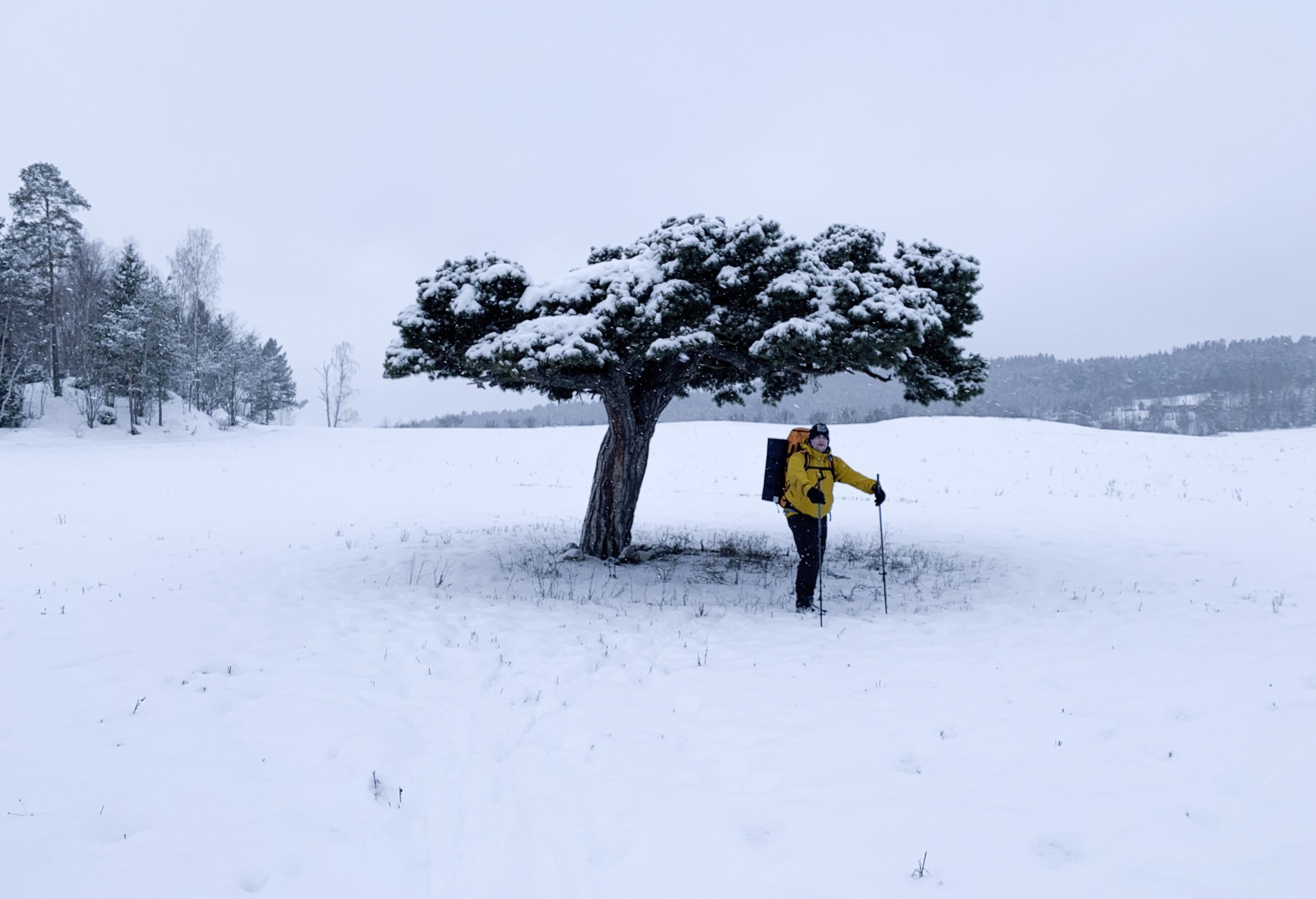 Spesielt tre langs Lorerunden