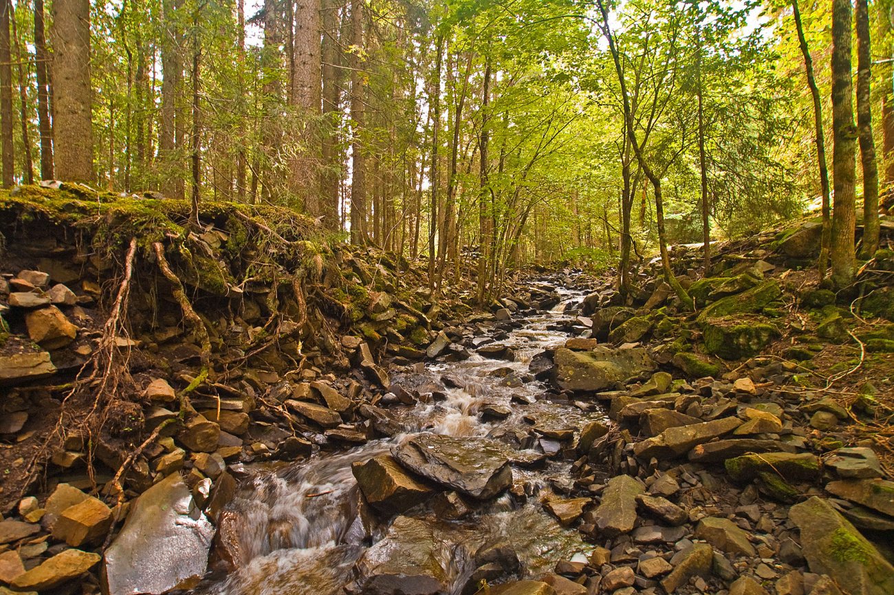 Spor etter utvasking