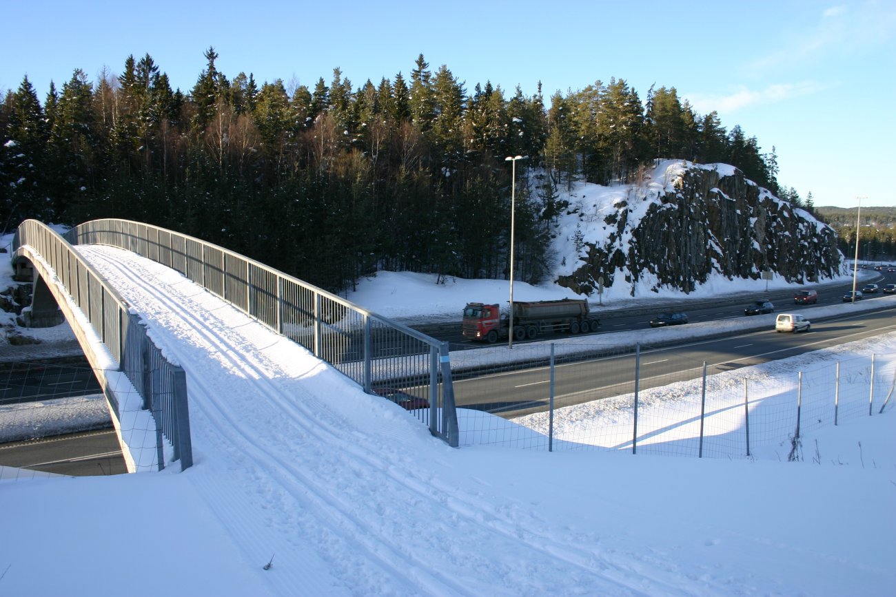 Spor over motorveien