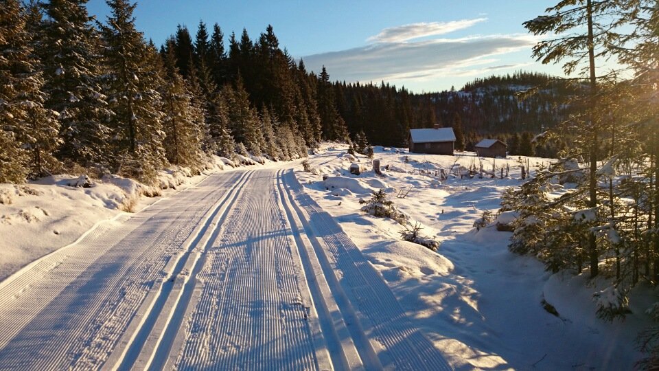 Spor ved Anfinnsætra