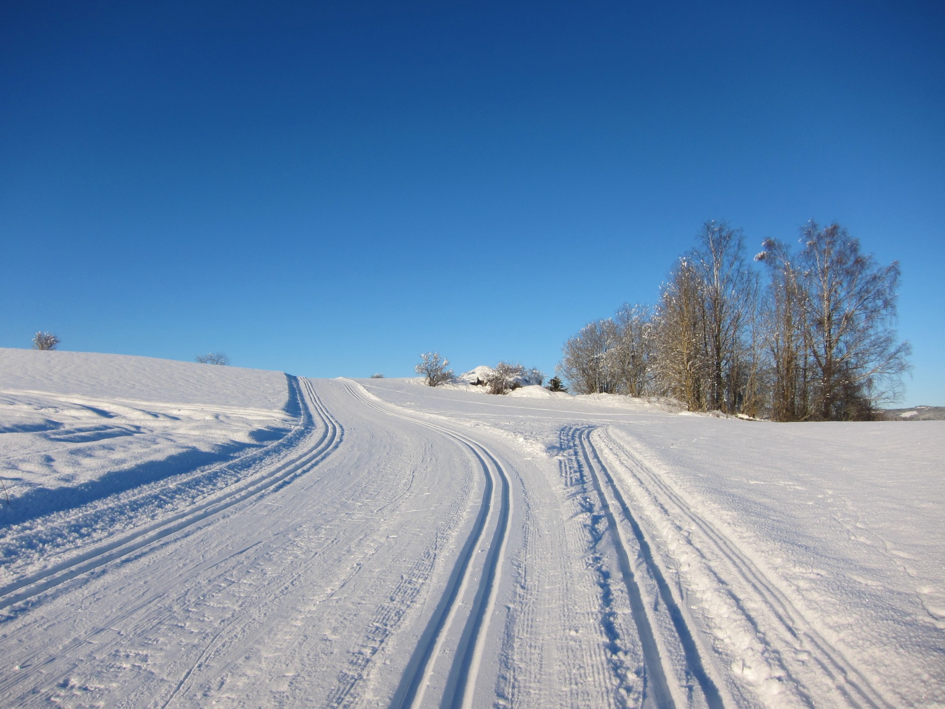 Sporene deler seg ved Skøyen