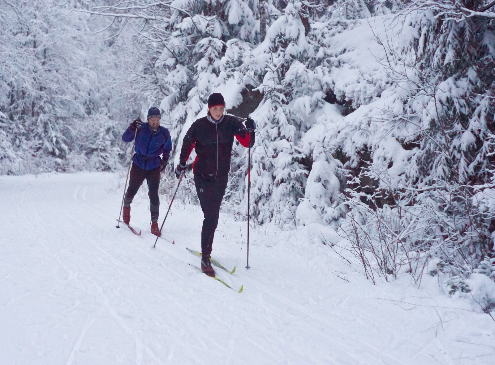 Sprekinger på treningstur