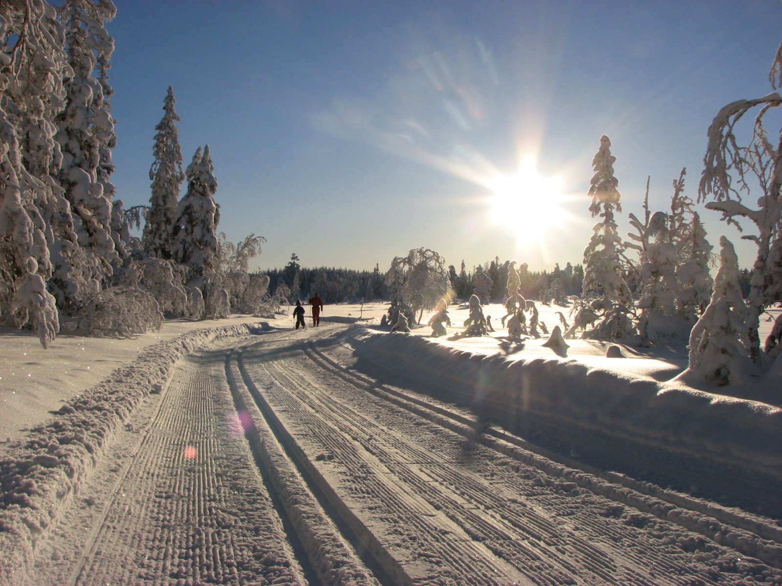 Stadstamyra mellom Lygna og Svera
