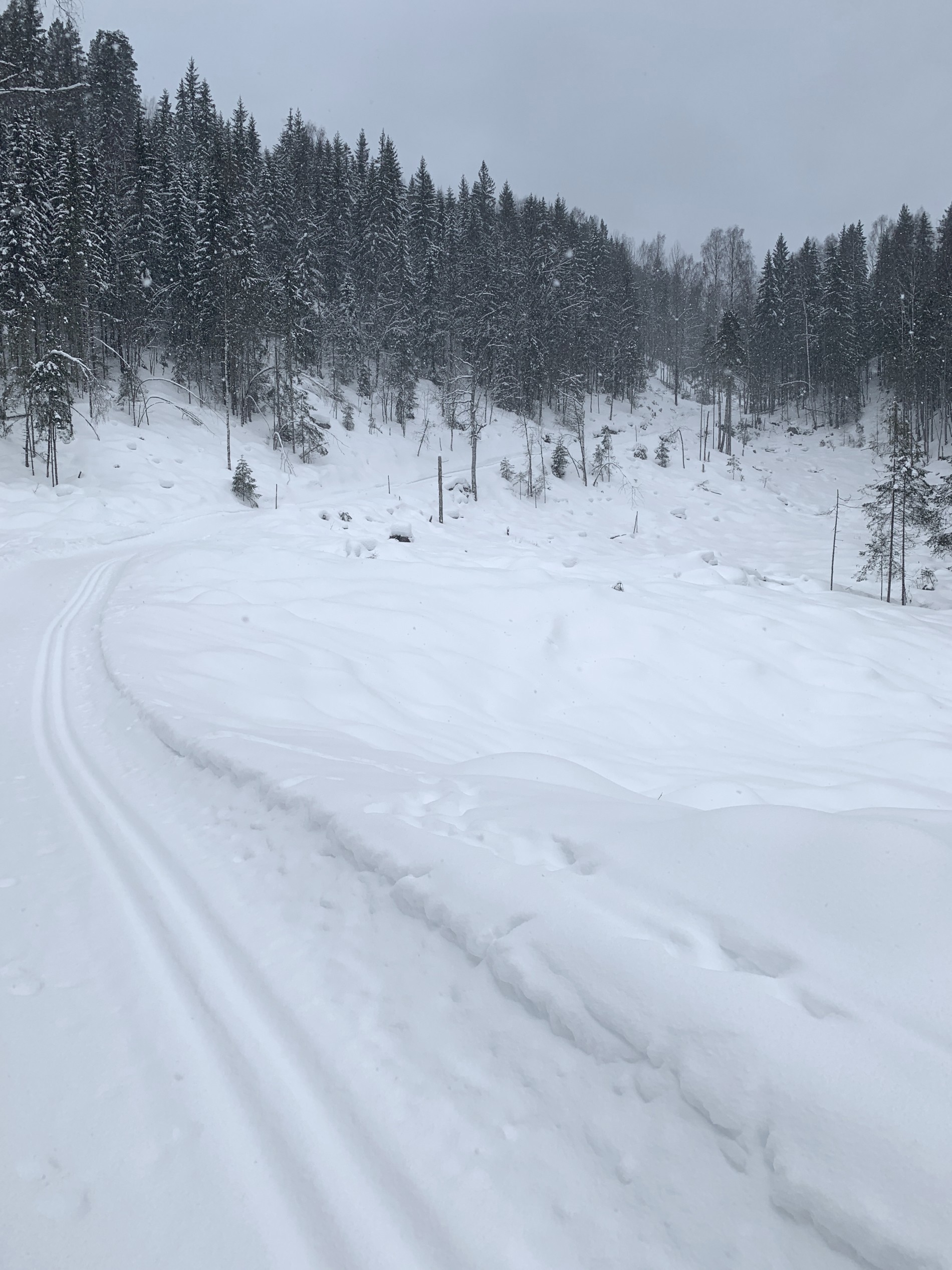 Starten på bakken opp Fiskeløysåsen