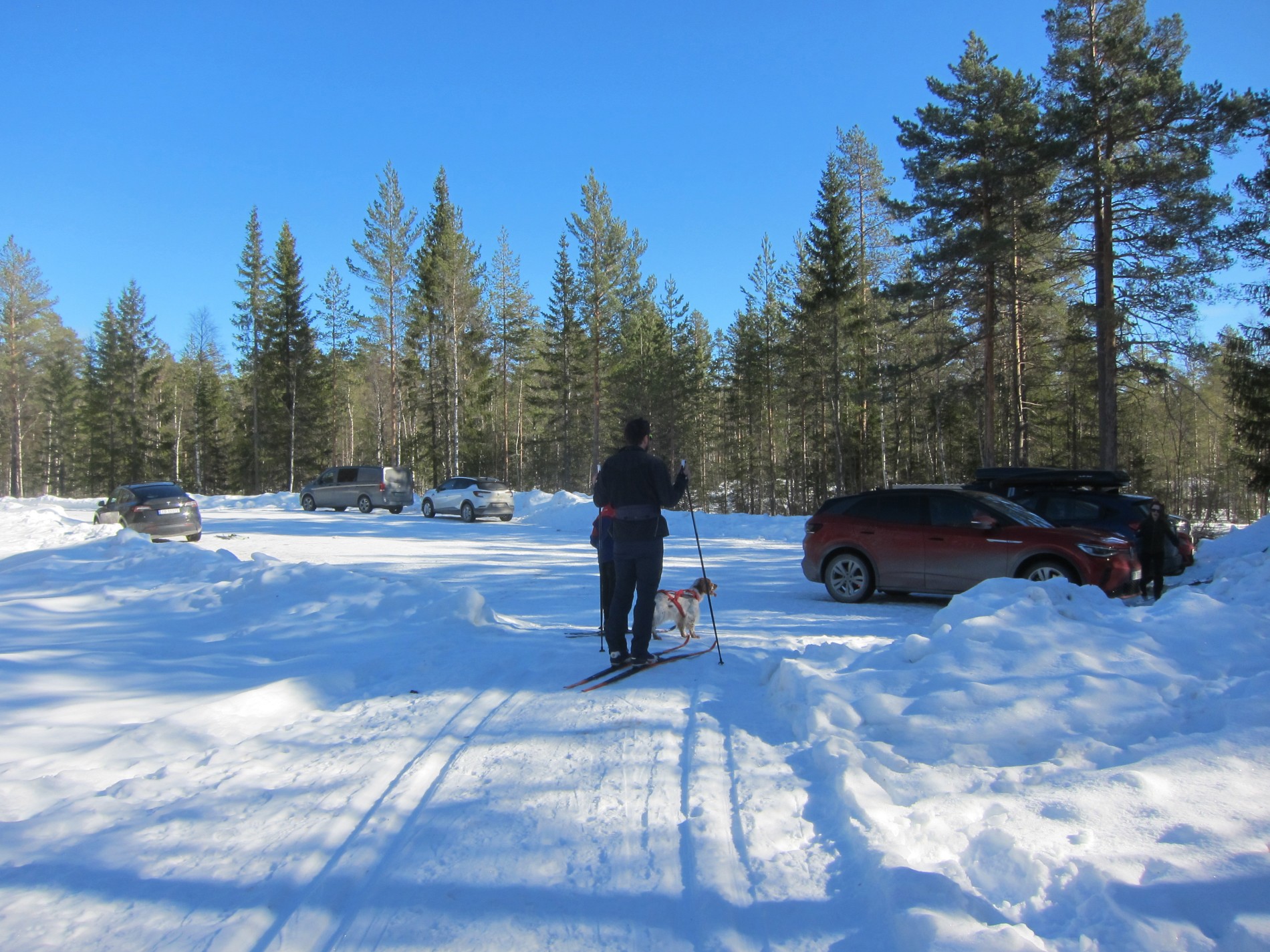 Startsted Flekkrøymyra på Jevnaker vestås