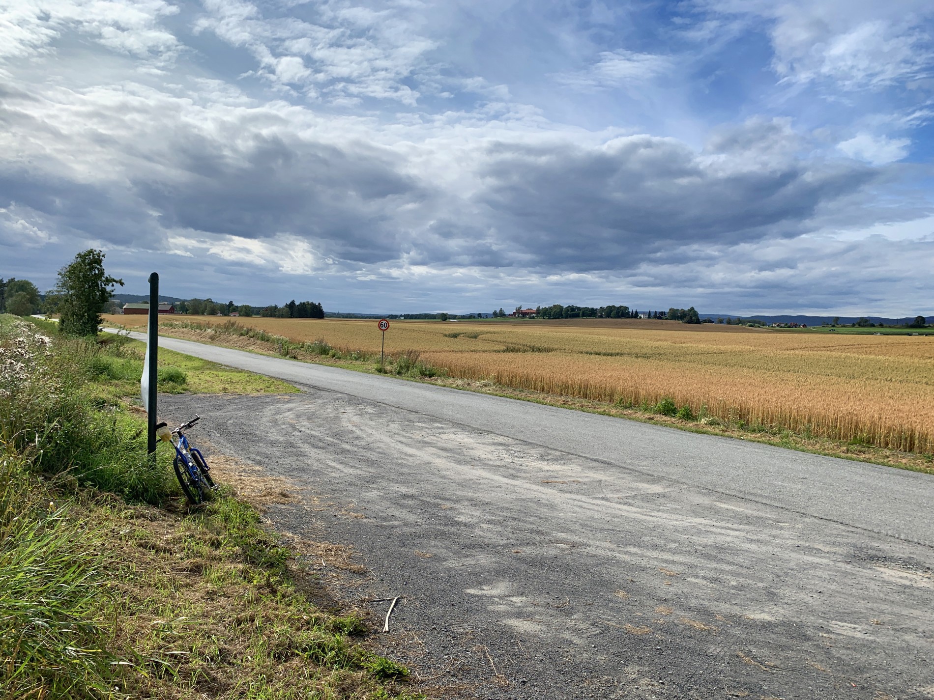 Steinssletta parkering i høstdrakt
