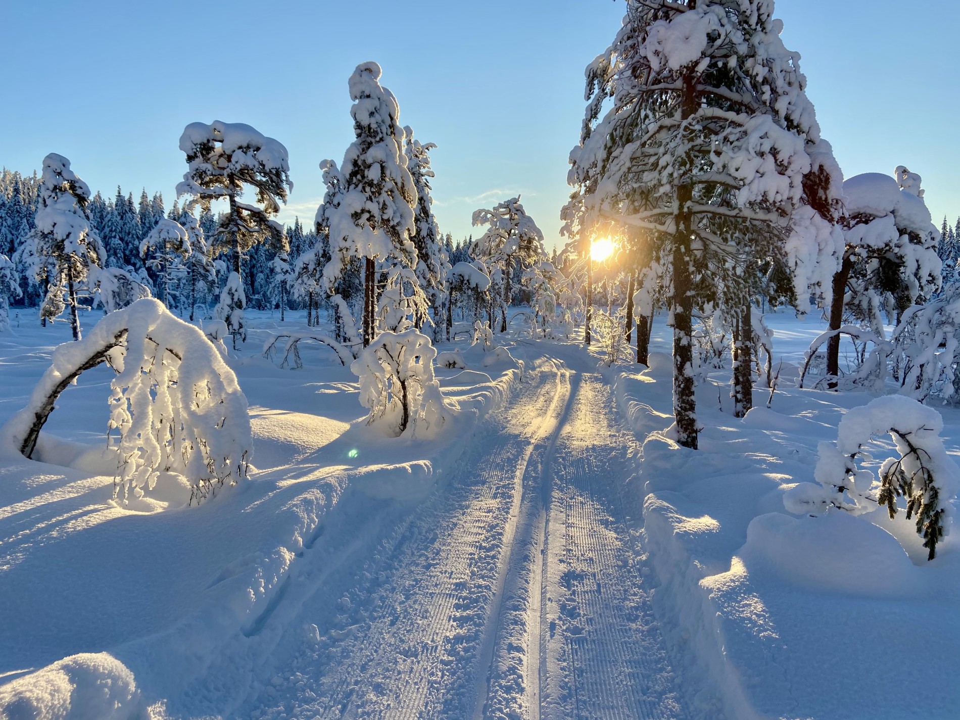 Stemningsfullt på Langmyra