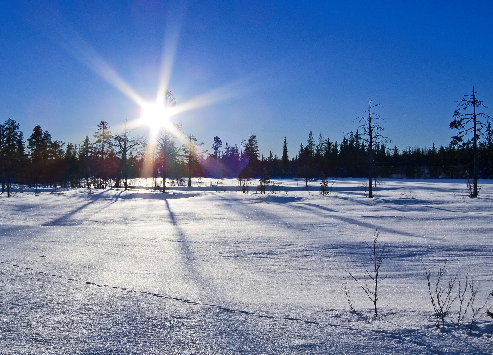 Stemningsfullt ved Sandtjernet