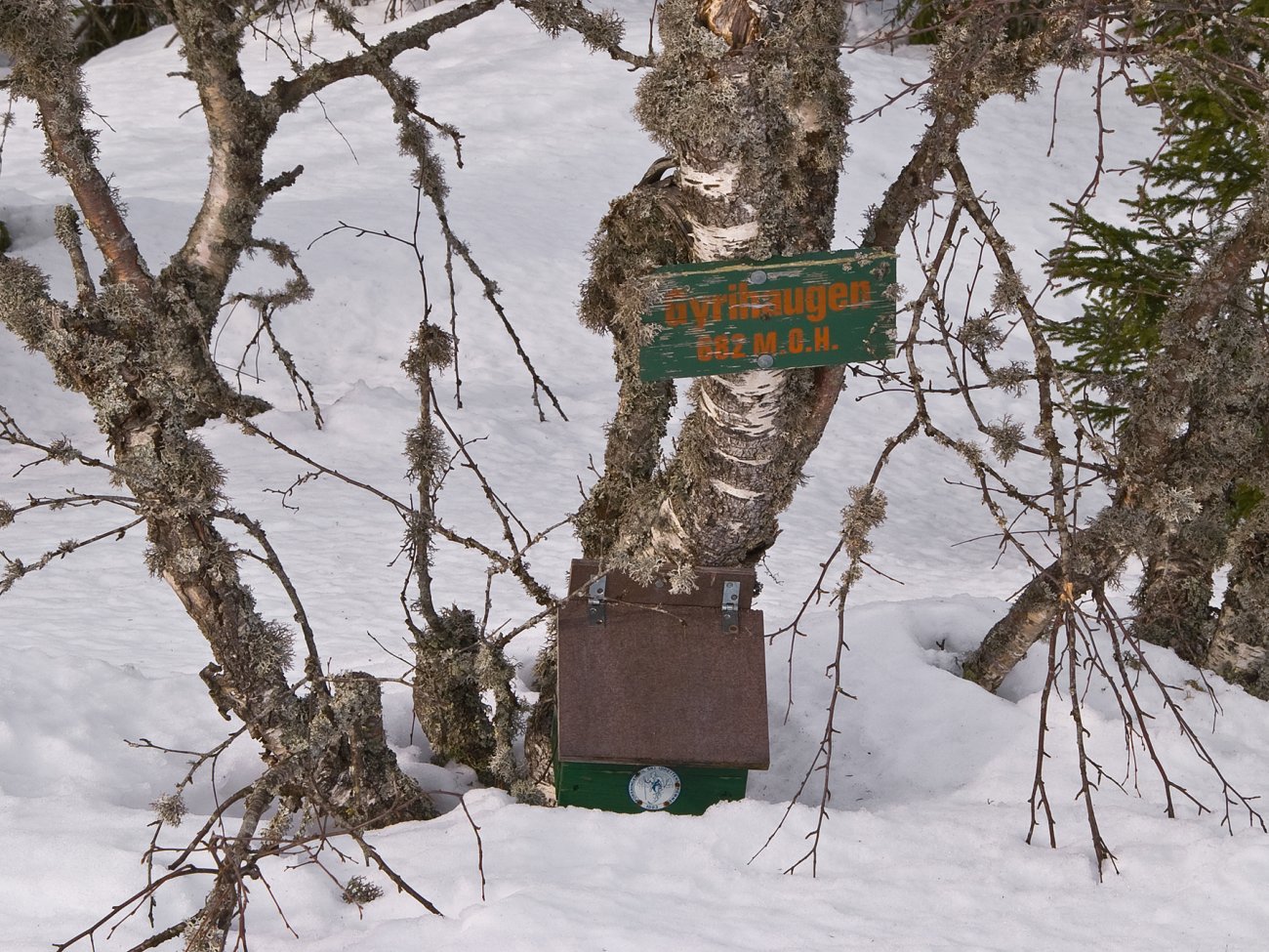 Stempling i ankelhøyde
