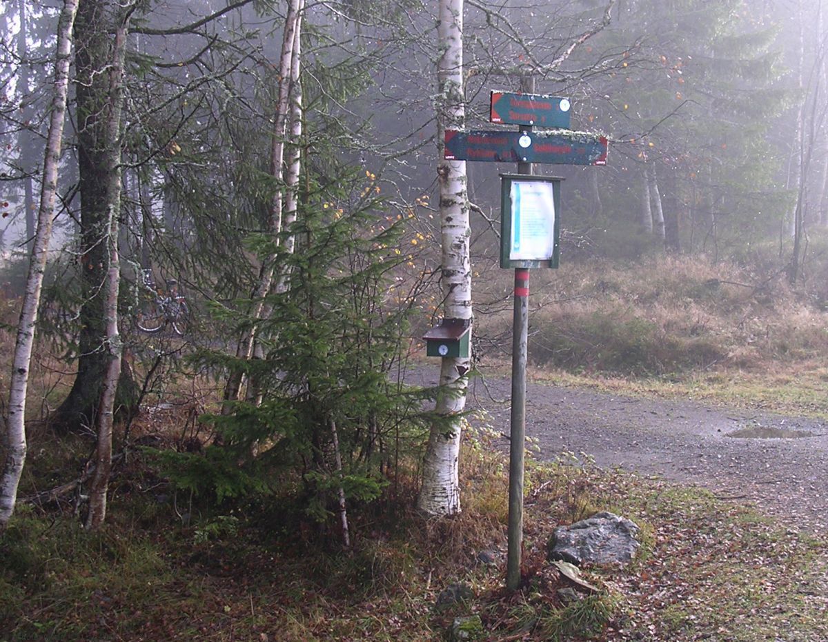 Stemplingsboksen ved Høymyr