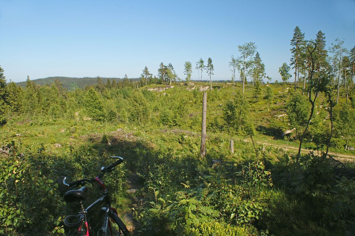 Sti møter vei ved Bertelsmyråsen