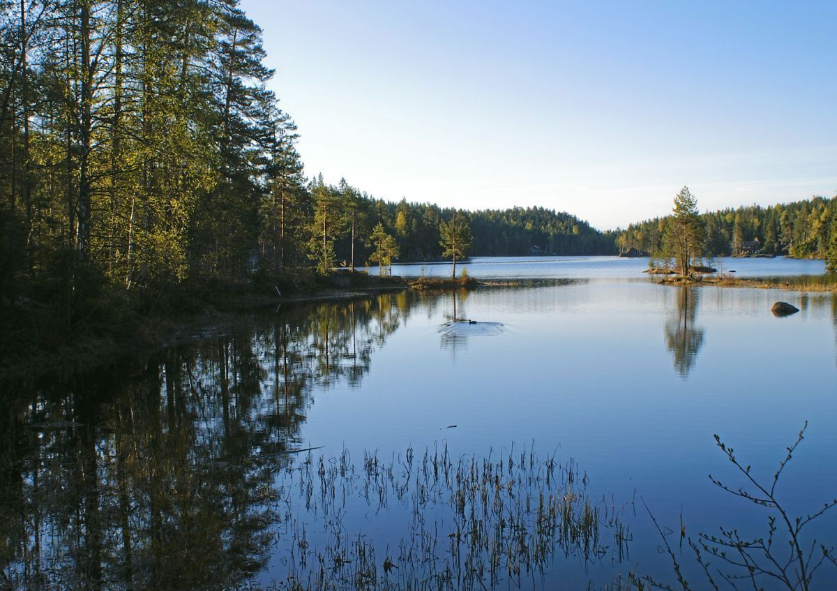 Stille morgen ved Rausjø