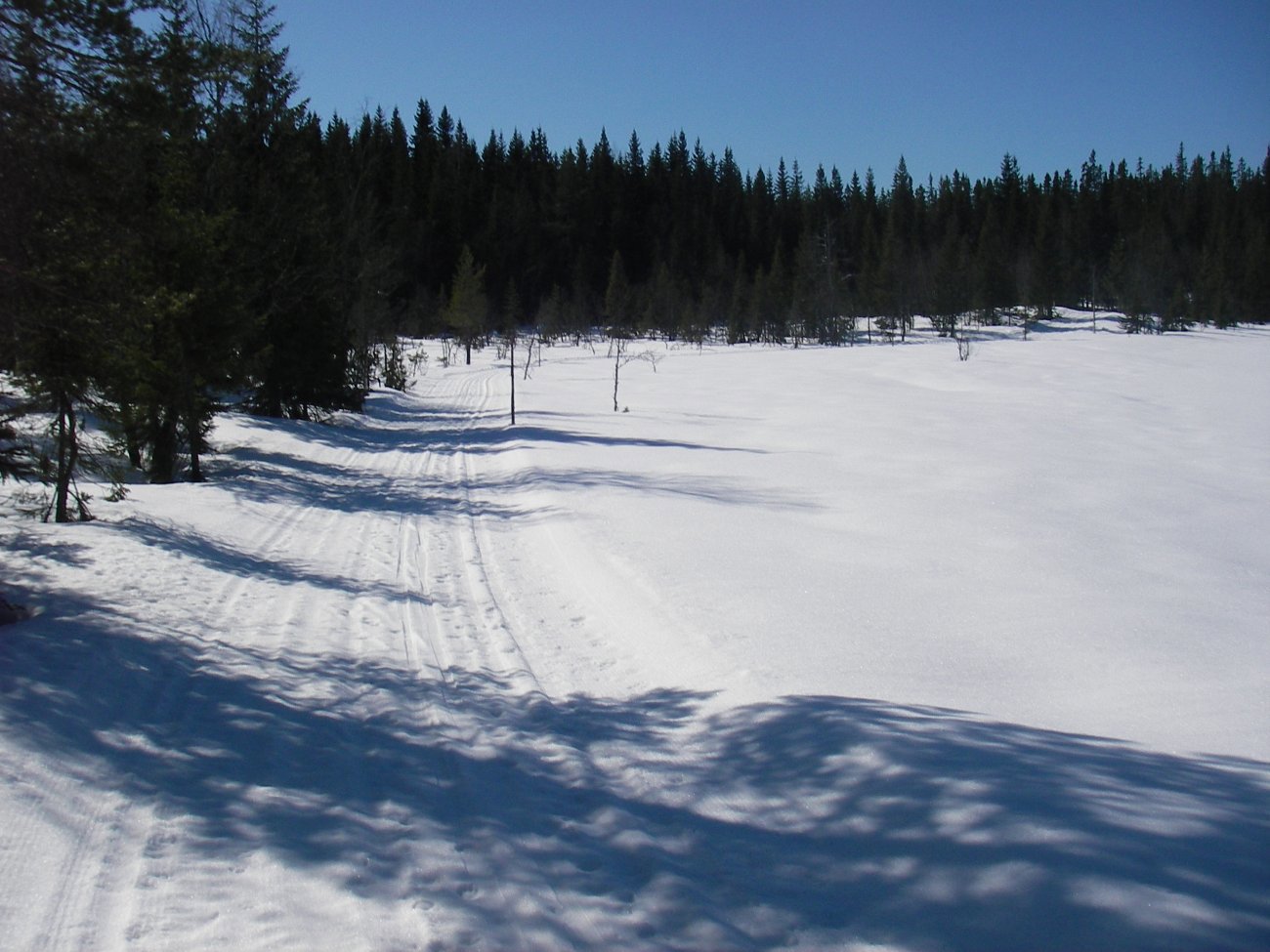 Stille på Grønntjern i dag