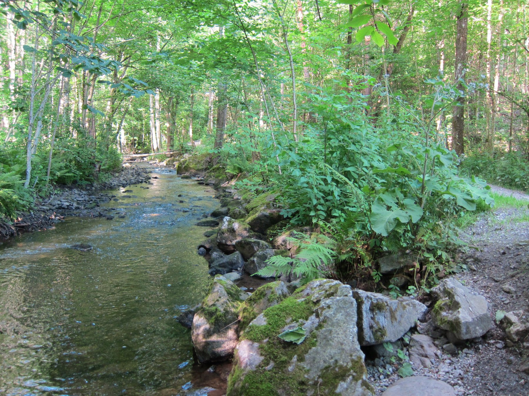 Stille renner Ljanselva