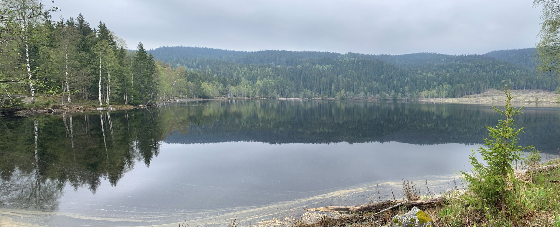 Stille vårdag ved Kringla