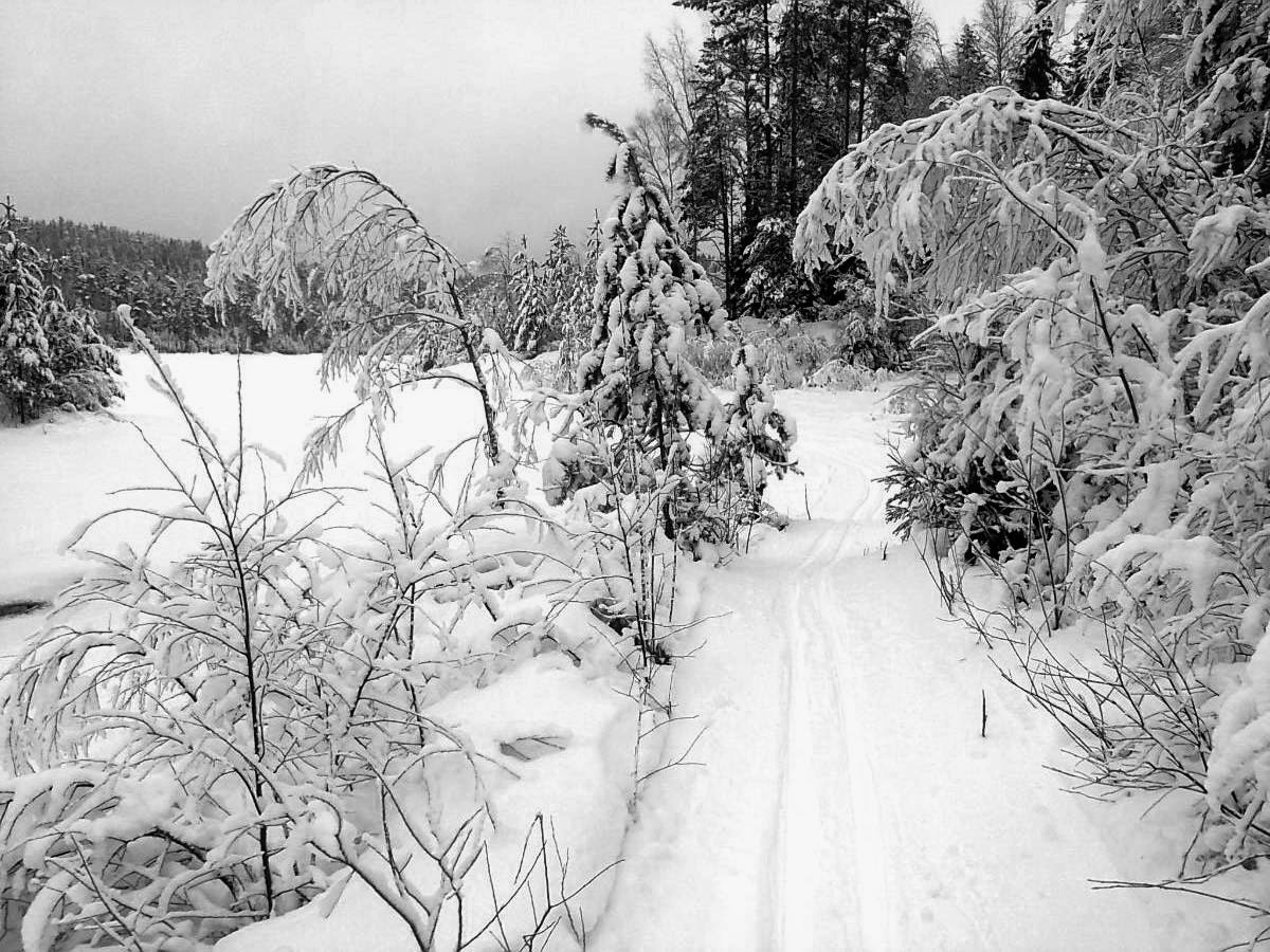 Stille ved Nordre Krokvann