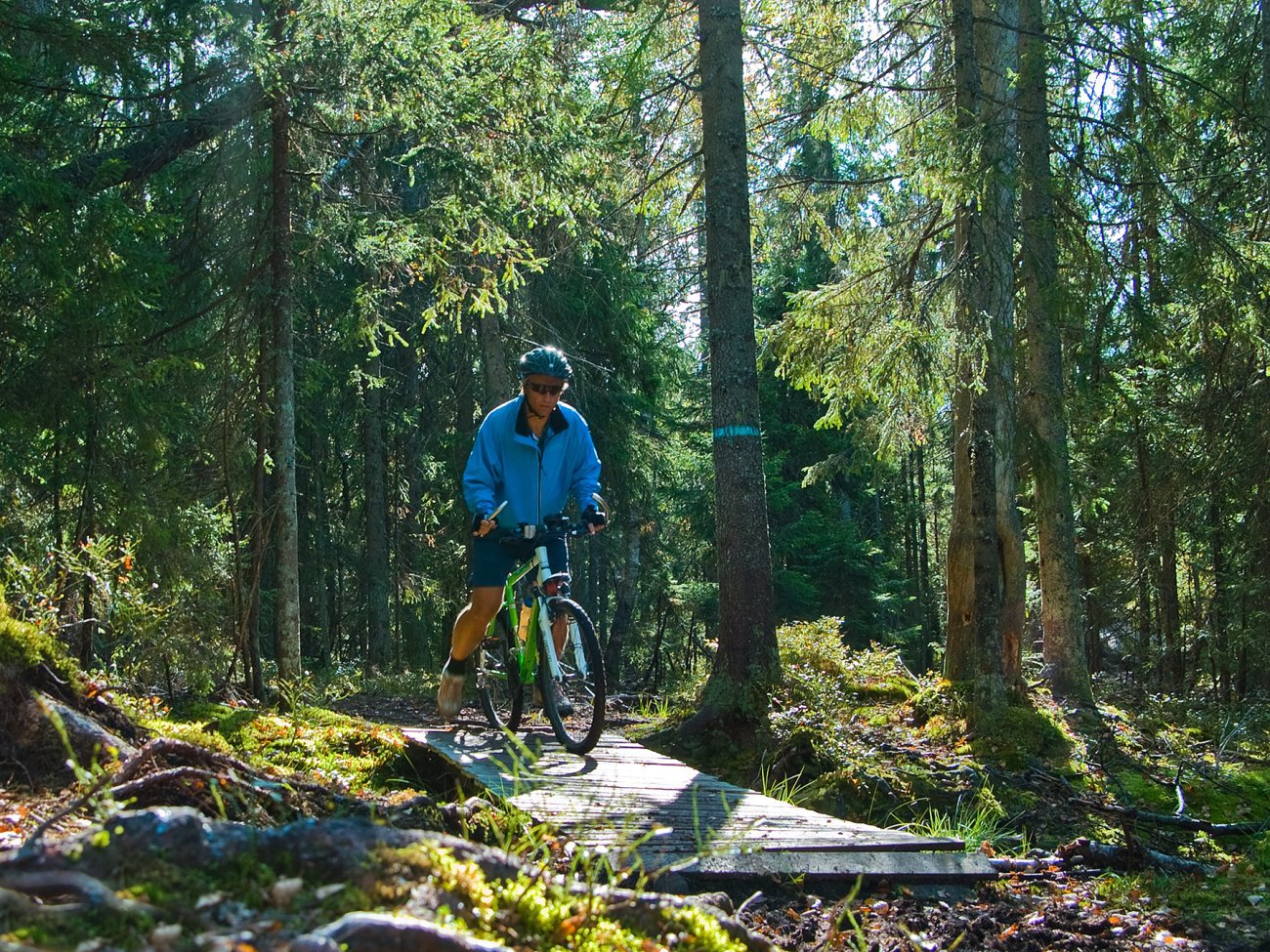 Stisykling i Vestmarka