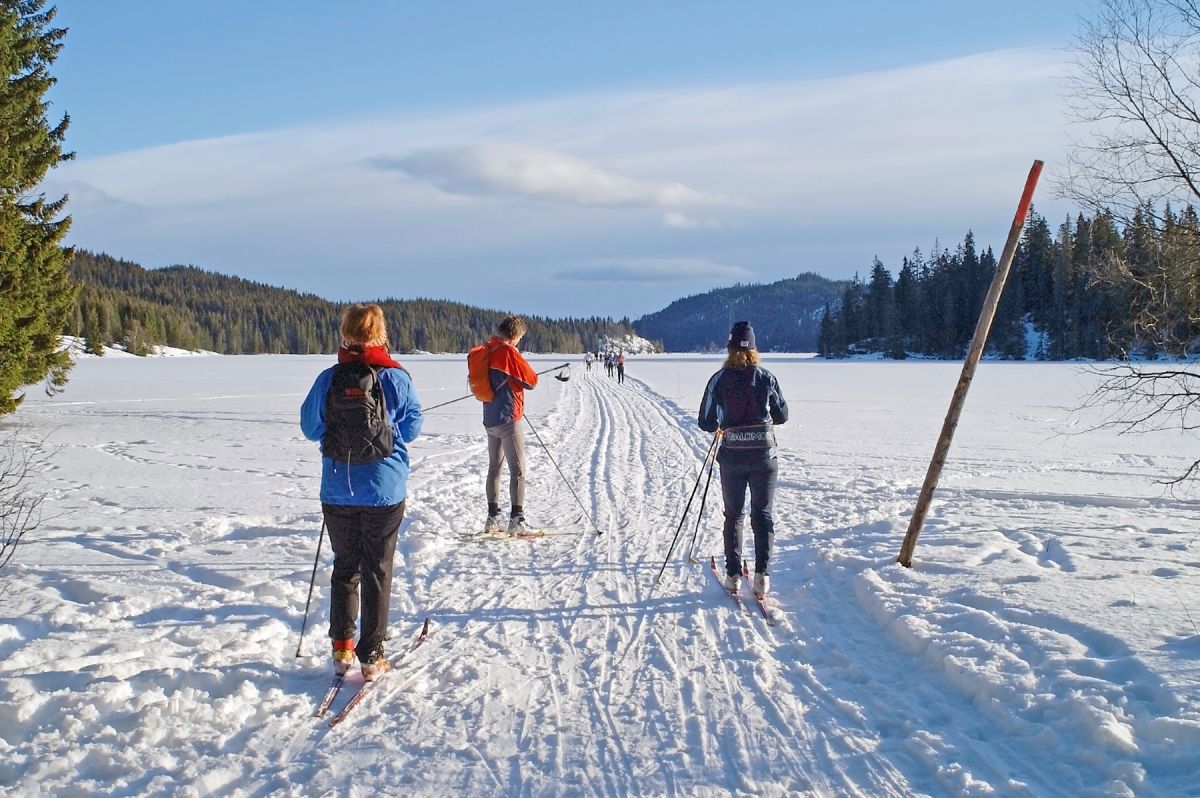 Stopp på Søndre Heggelivann