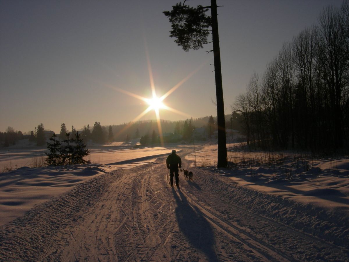 Storfurua på Eidsletta