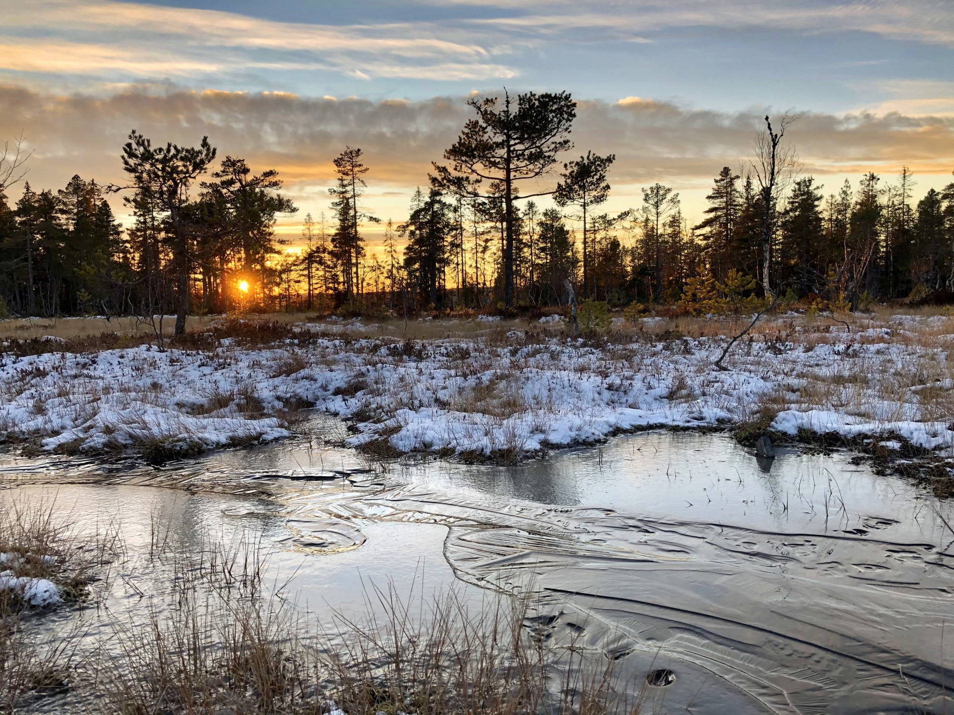 Stormyra i solnedgang