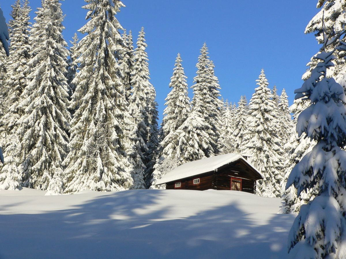 Stovivollen i lav februarsol