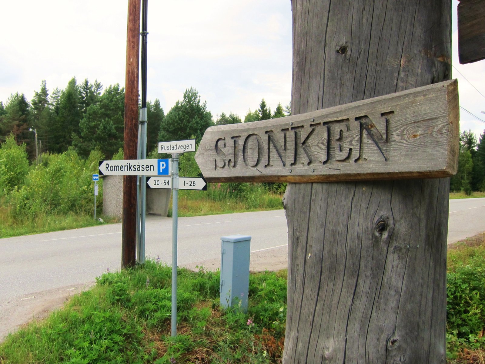 Strake veien til Sjonken