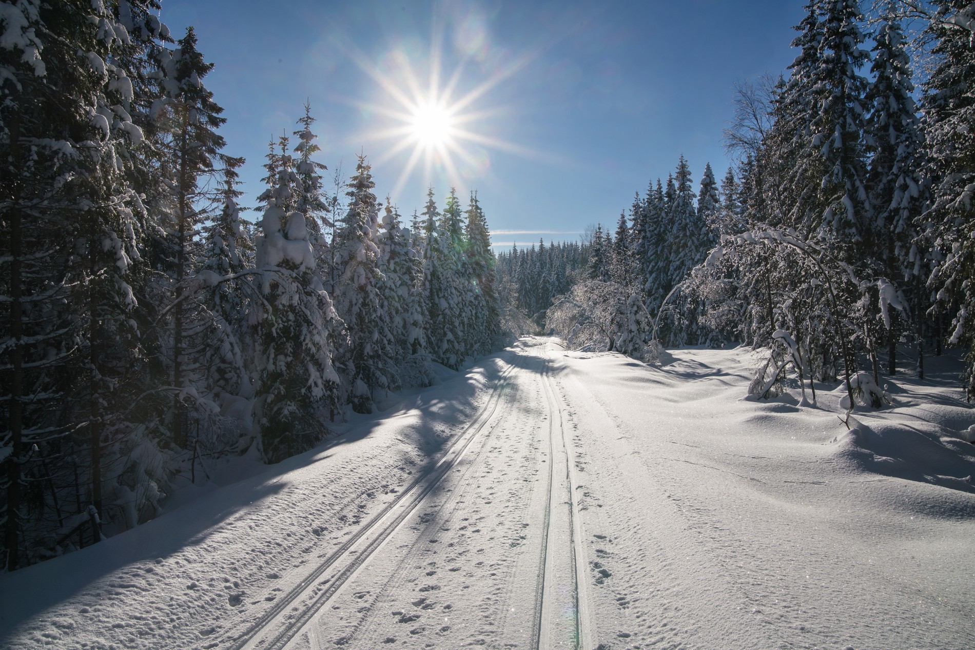 Strålende på Mastutjennsvegen