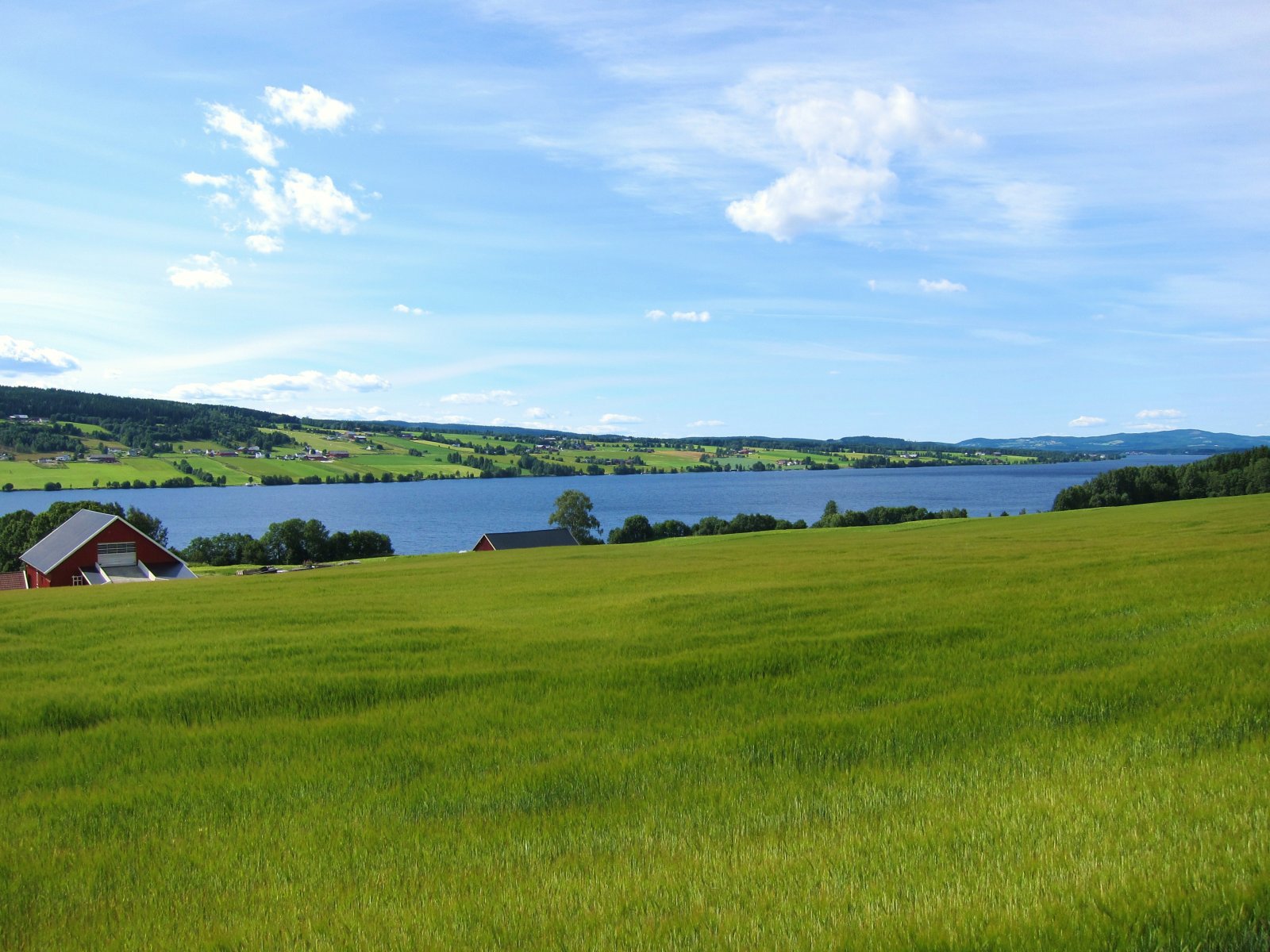 Strålende utsikt over Einafjorden