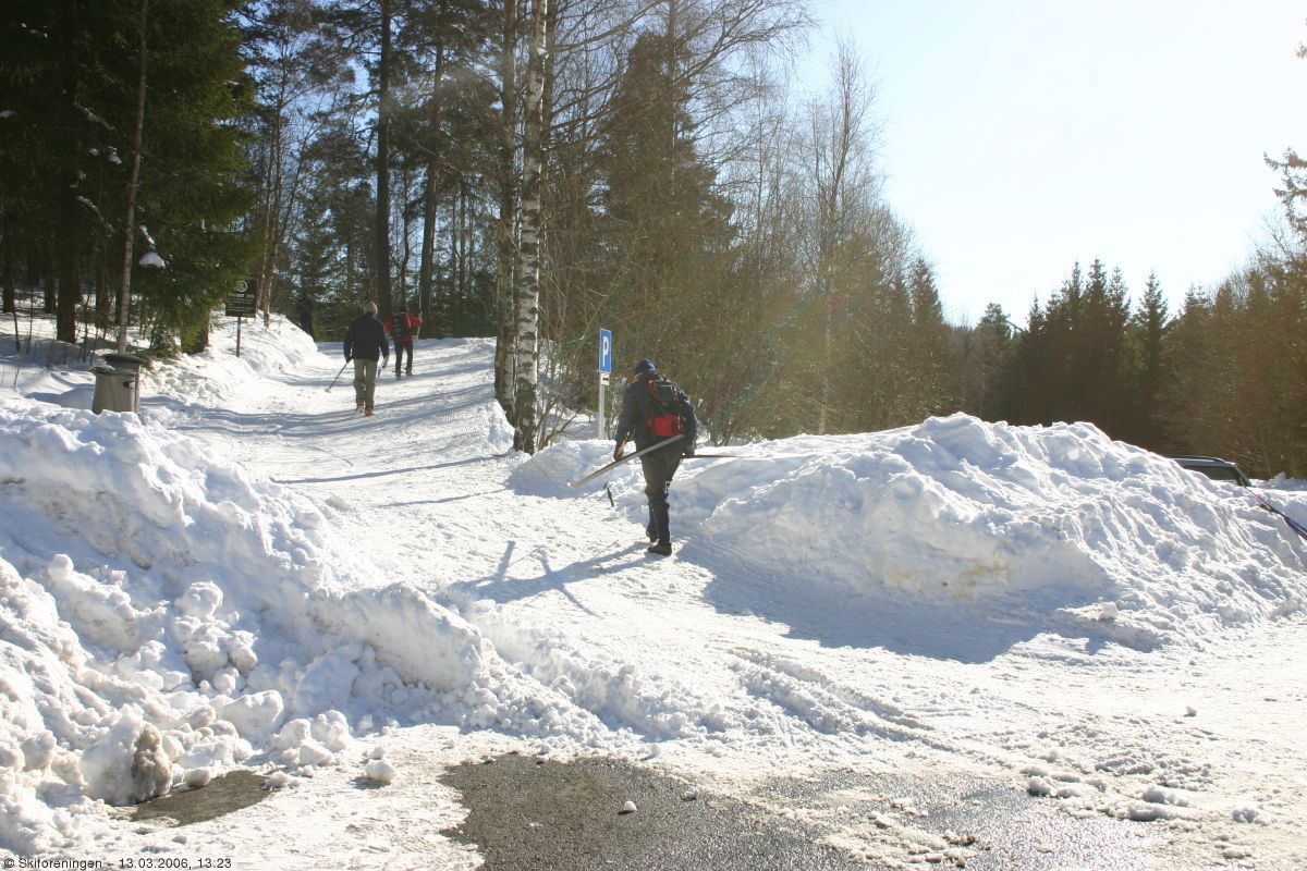 Strålende vær på Solemskogen