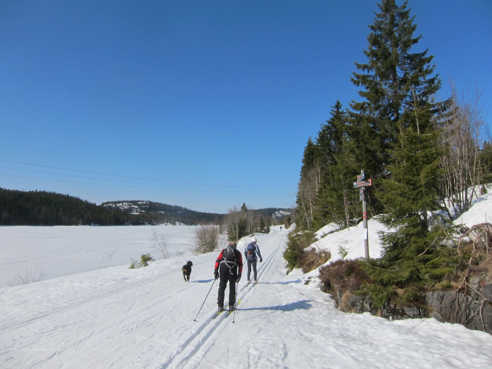 Strålende ved Heggelivann