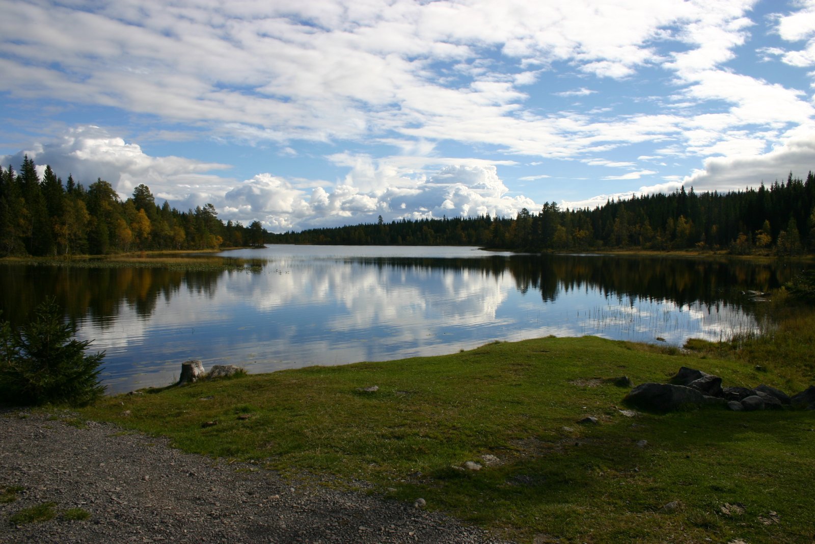 Strålende ved Kalven
