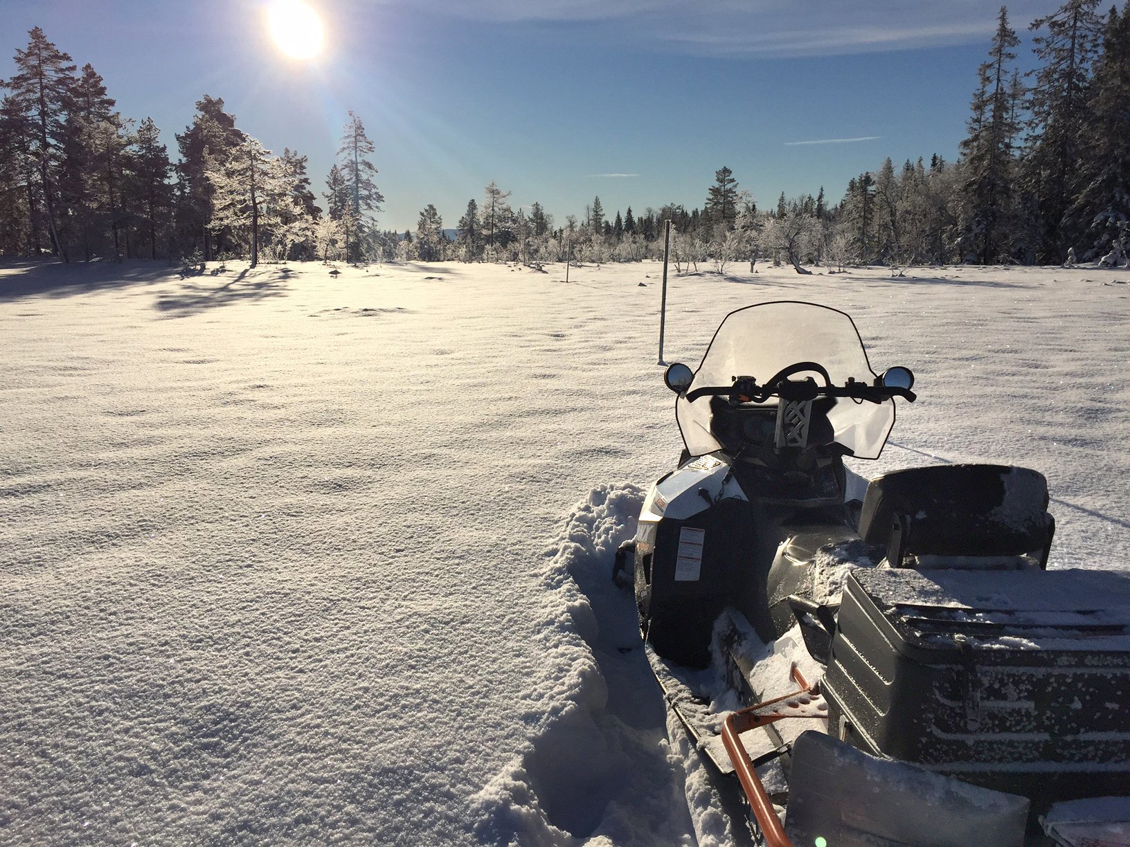 Strålende ved Sandtjern
