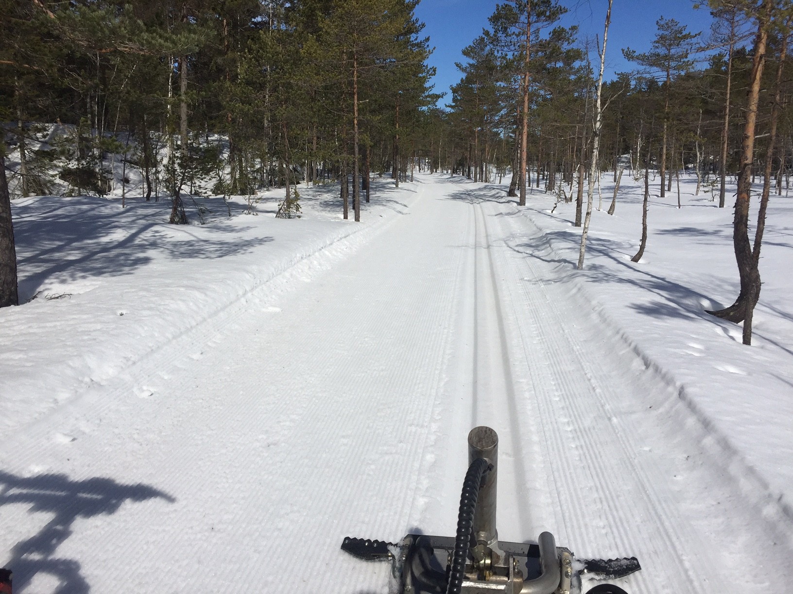 Strøkne april-forhold i Kjekstadmarka