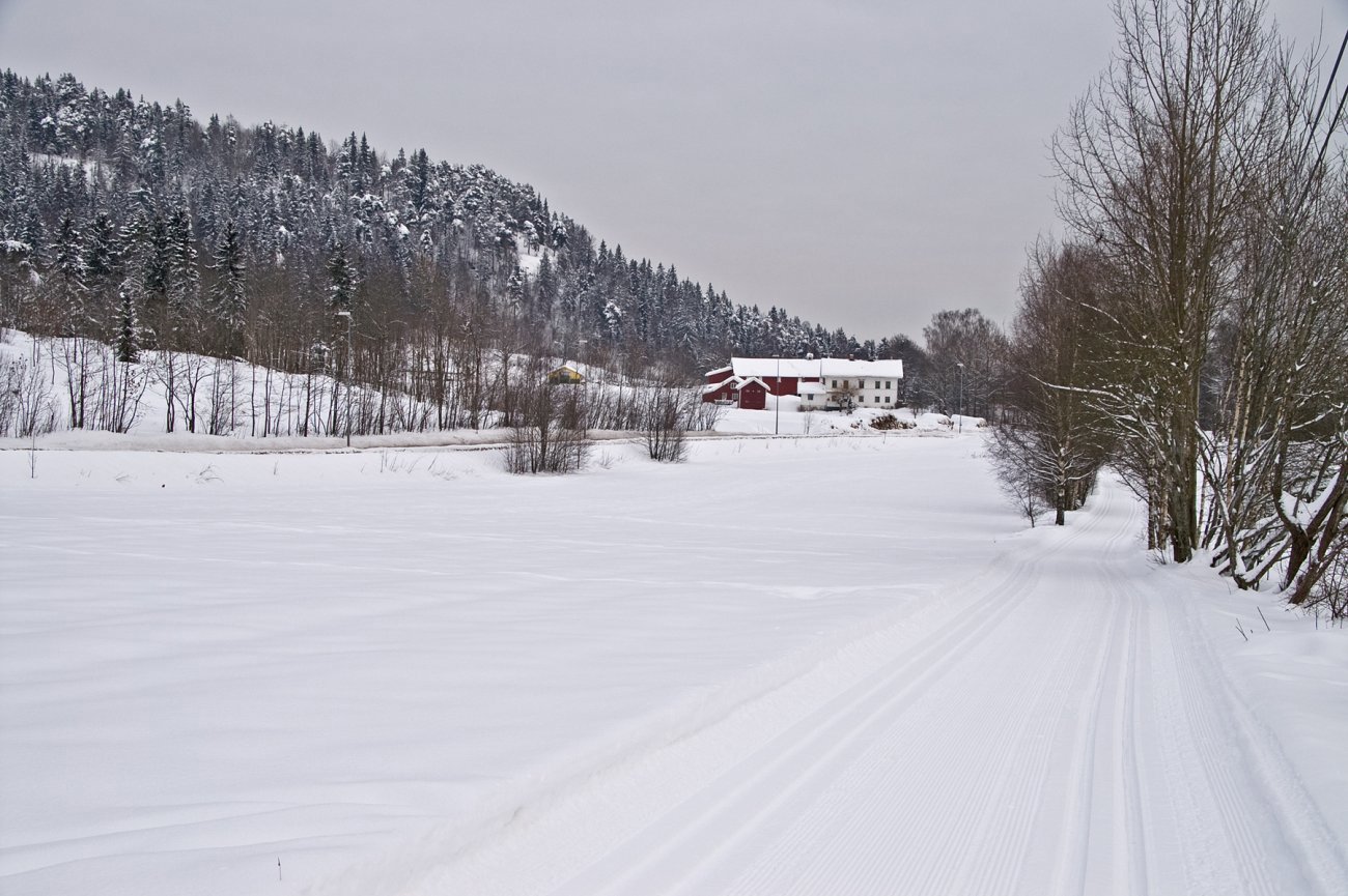 Strøkne spor ved Stein gård