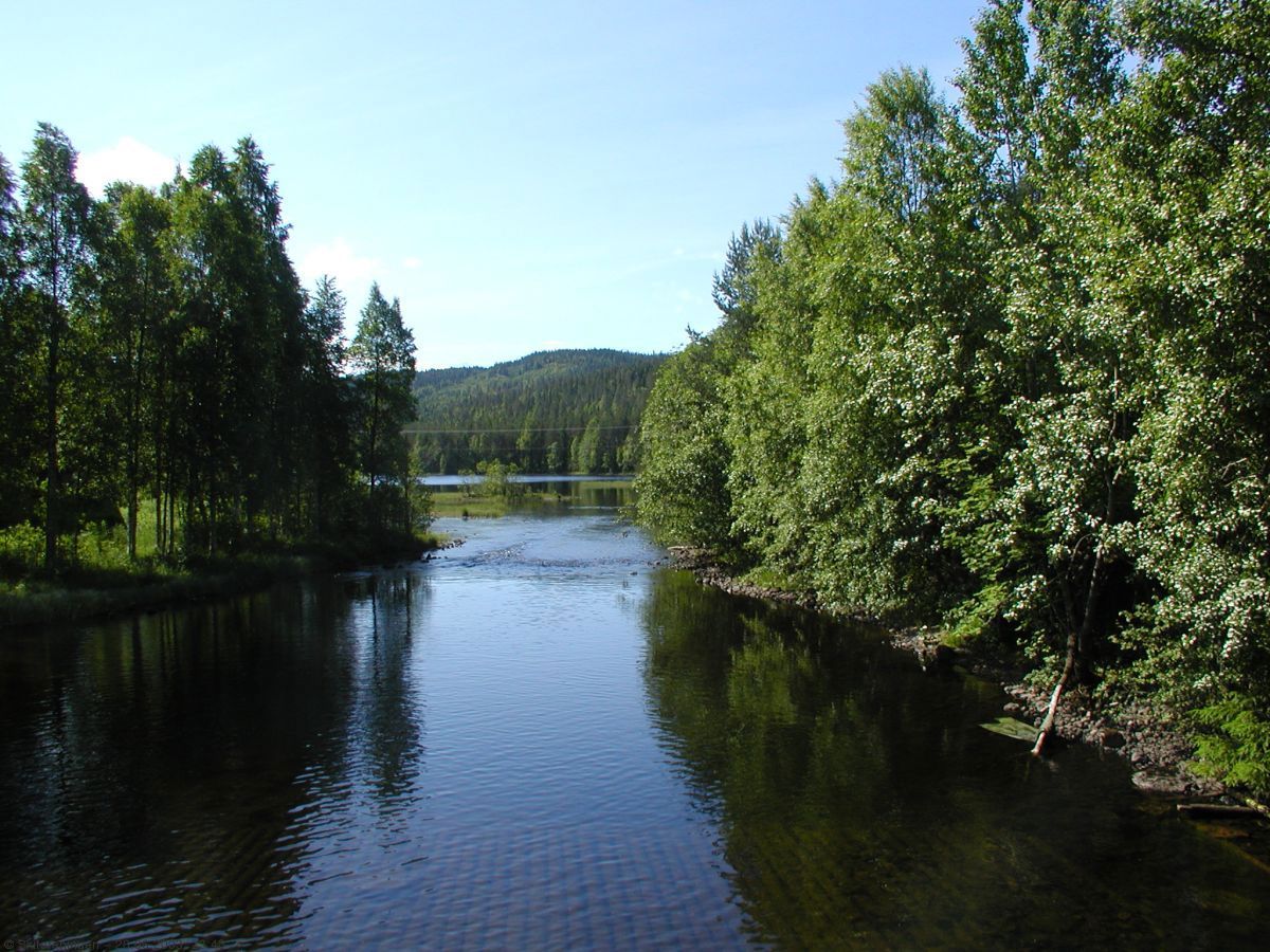 Strykenvannet