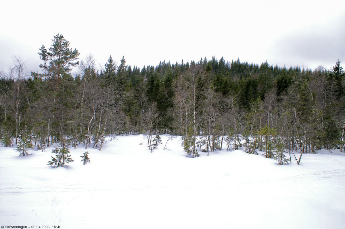 Stubberudseterhøgda