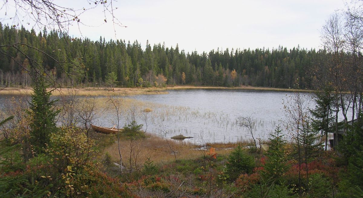 Stubdalstjernet venter på vinteren