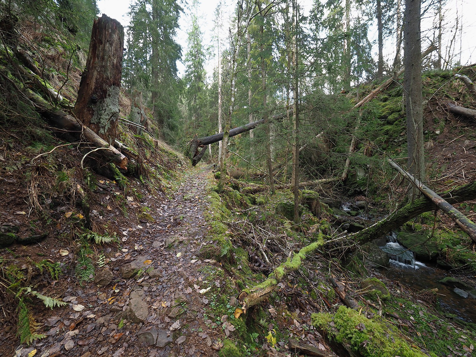 Styggedalen: en gammel spaservei