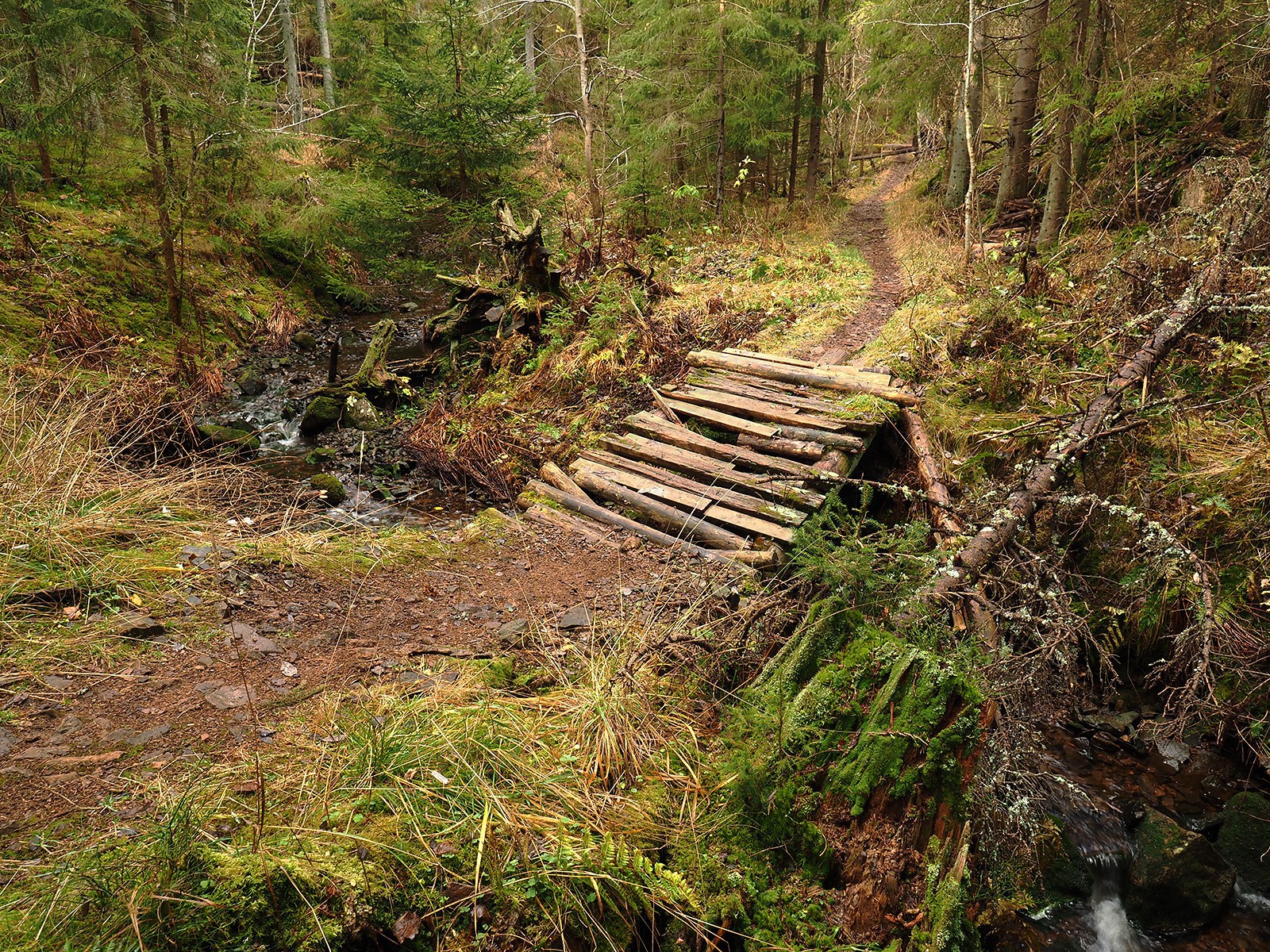 Styggedalen: en medtatt klopp