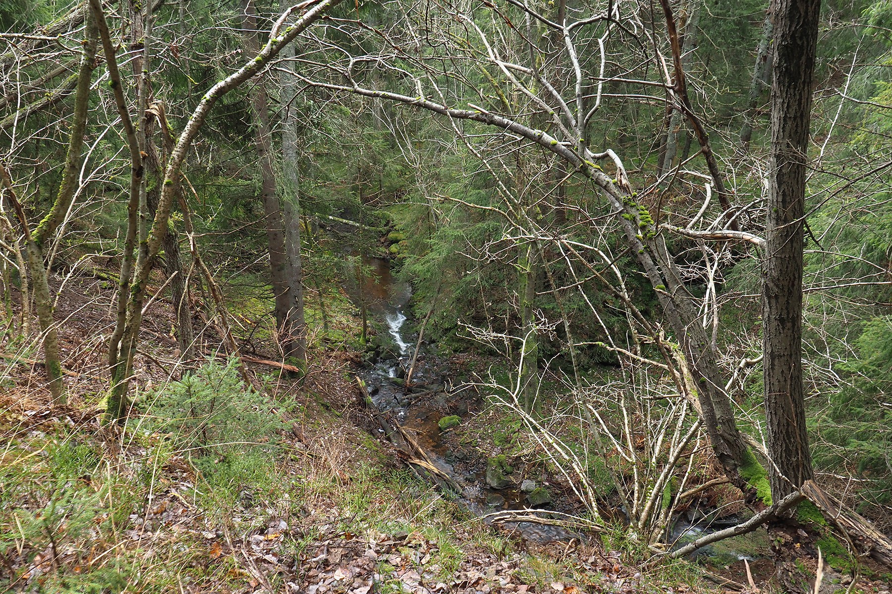Styggedalen sett ovenfra fra østsiden